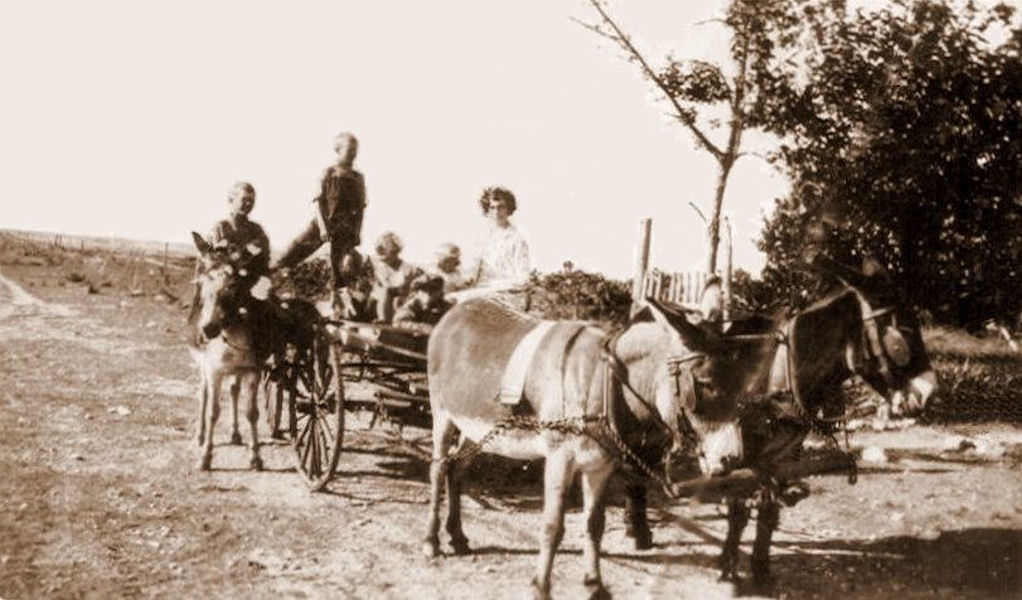1929 school bus at the Ranch:  Vernon, Marion, Ewalee, (Marco in cap?), Sherrill, and the teacher Cleo Heidel (our future Aunt Cleo)